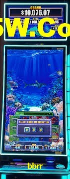 bbrr,bbrr.com